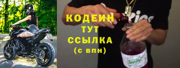 трава Белокуриха