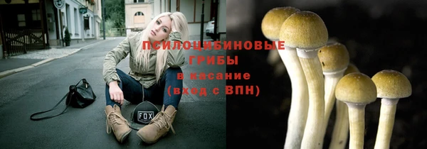 трава Белокуриха