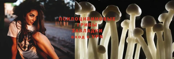 дживик Беломорск