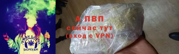 дживик Беломорск