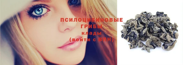 прущие крисы Пестово