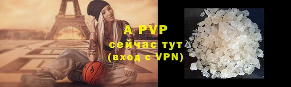 дживик Беломорск