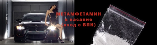 трава Белокуриха
