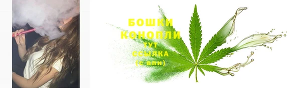 трава Белокуриха