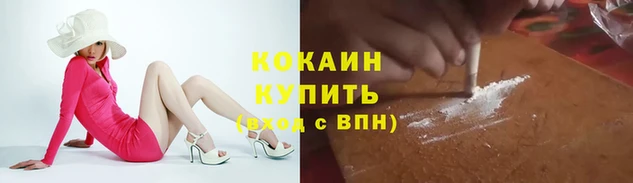 трава Белокуриха