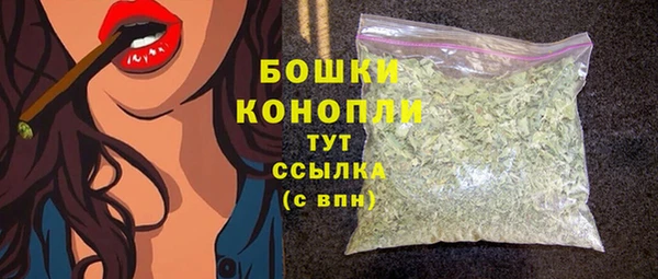 трава Белокуриха