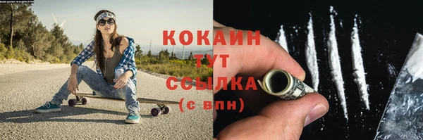 трава Белокуриха